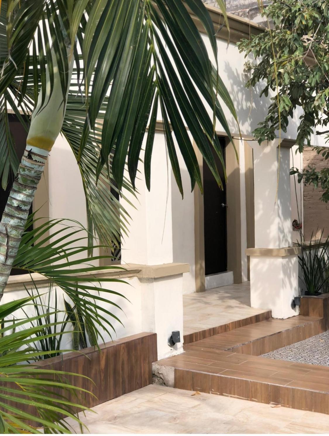 The Black Tree Hotel Colonial Mazatlan Ngoại thất bức ảnh