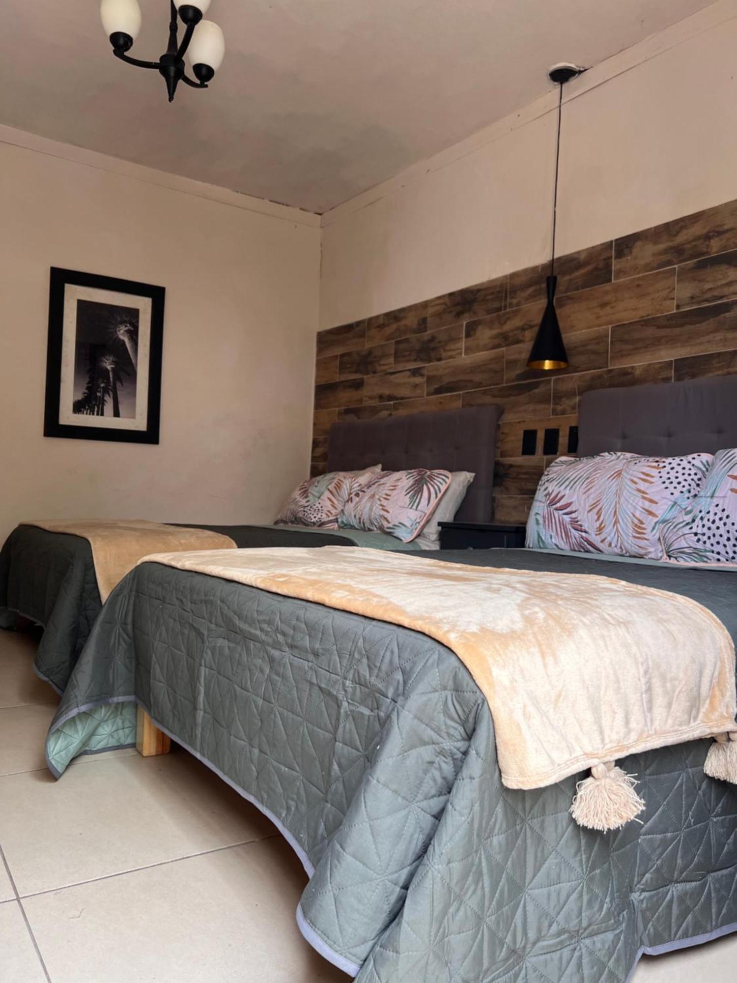 The Black Tree Hotel Colonial Mazatlan Ngoại thất bức ảnh