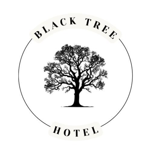 The Black Tree Hotel Colonial Mazatlan Ngoại thất bức ảnh