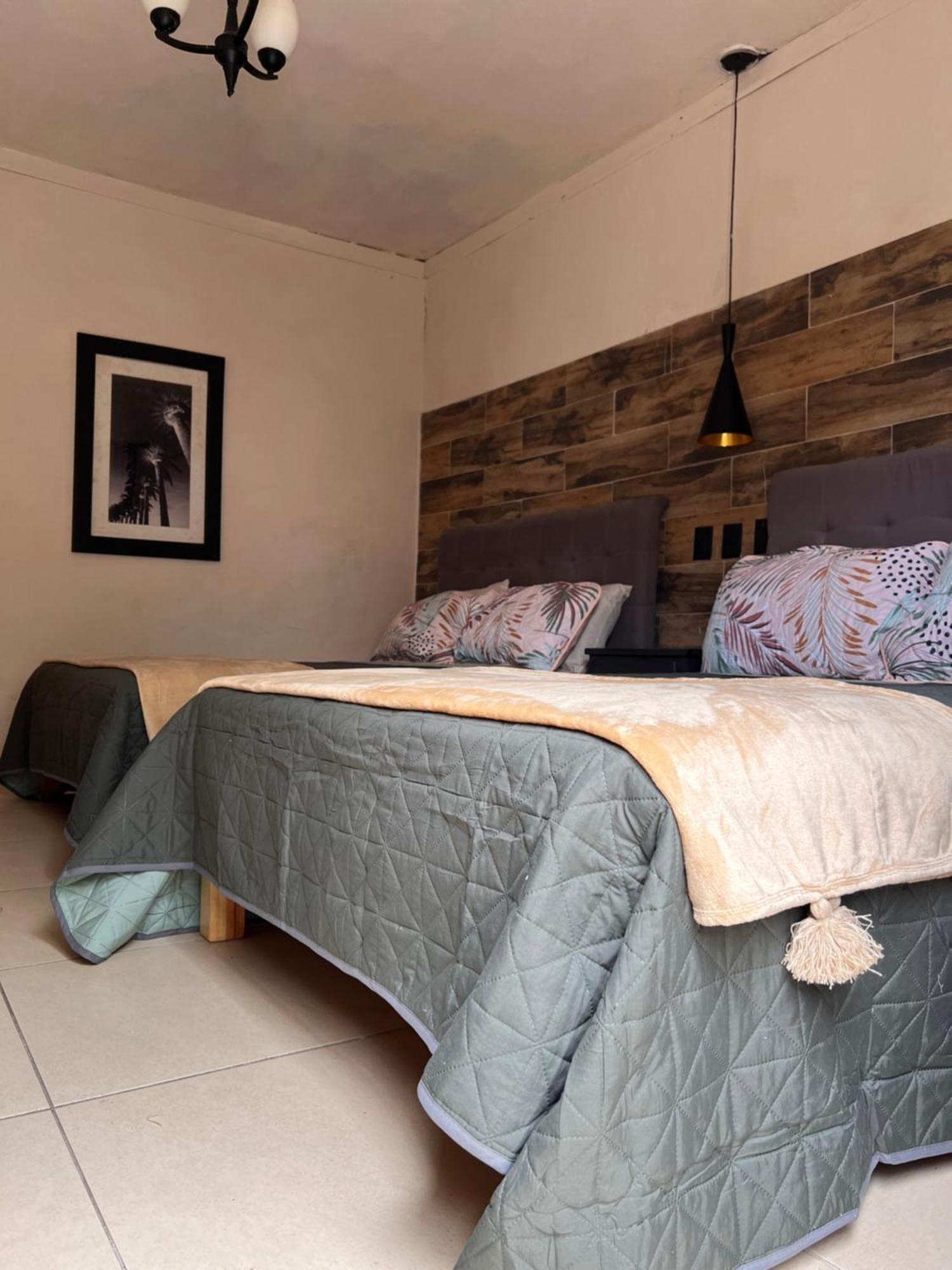 The Black Tree Hotel Colonial Mazatlan Ngoại thất bức ảnh