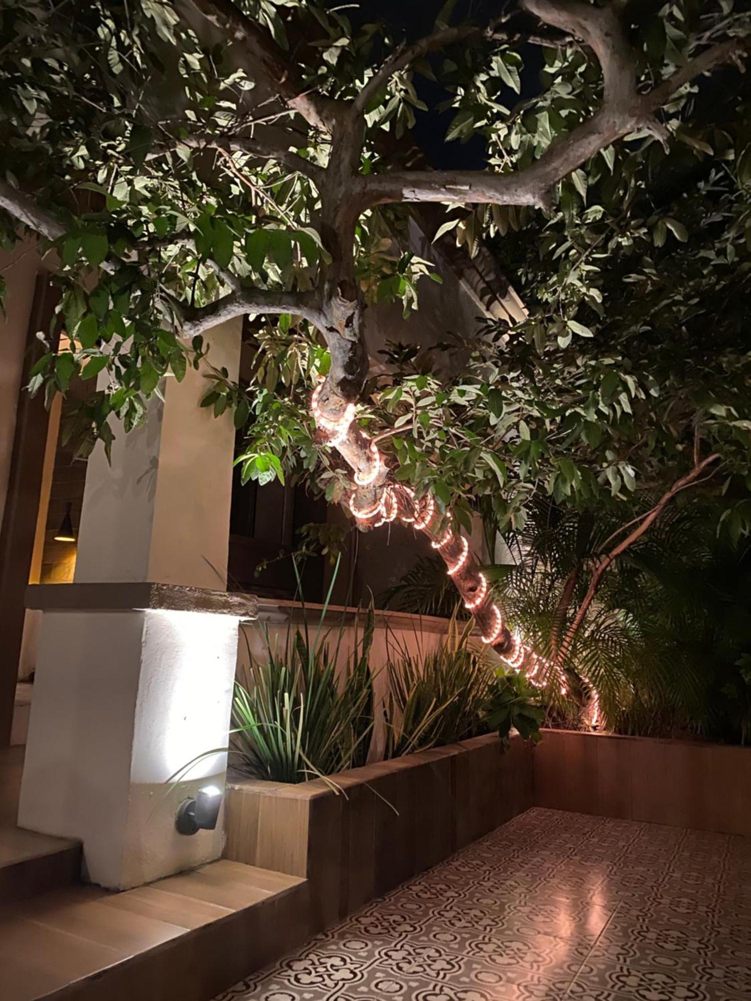 The Black Tree Hotel Colonial Mazatlan Ngoại thất bức ảnh